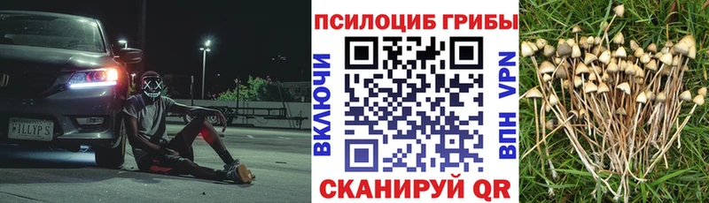 Купить Набережные Челны Псилоцибиновые грибы GOLDEN TEACHER